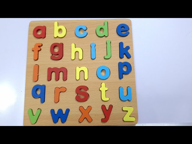 WhatsApp Image 2025-10-31 at 3.56.50 PM (1)